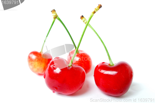 Image of Cherry fruits