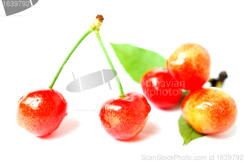 Image of Cherry fruits