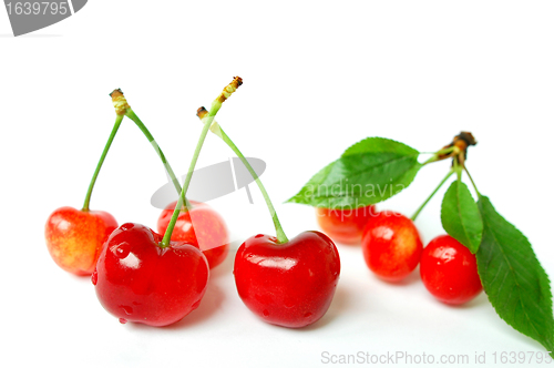 Image of Cherry fruits