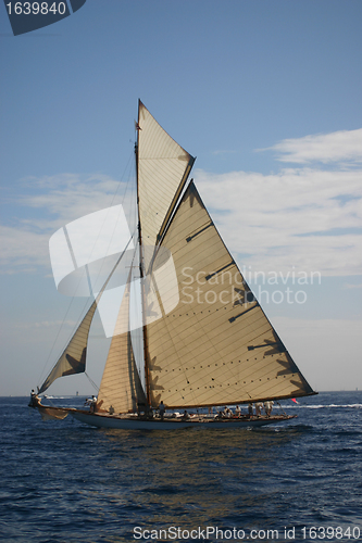 Image of sailing boat in regata