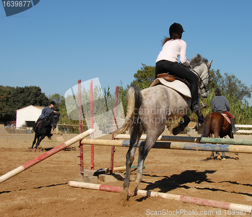 Image of jumping grey horse
