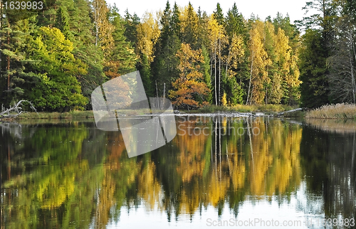 Image of Lake landscape