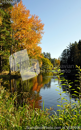 Image of Lake landscape