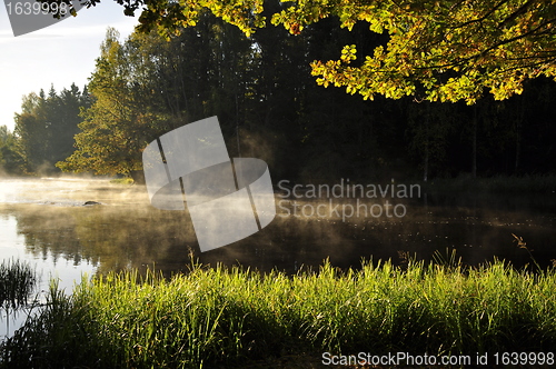 Image of Lake landscape