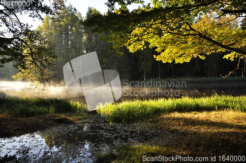Image of Lake landscape