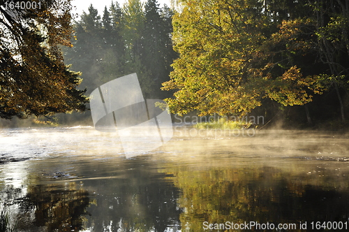 Image of Lake landscape