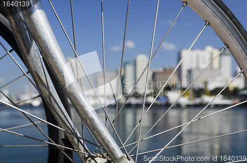 Image of Wheel Spokes