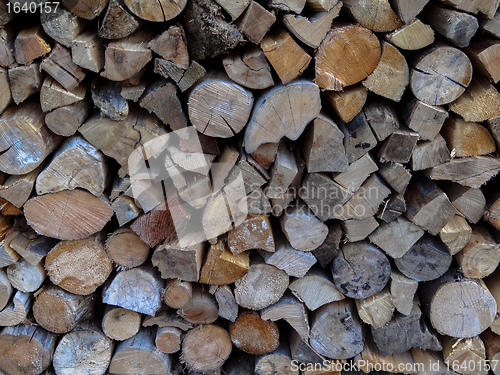 Image of Wood pile