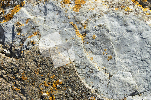 Image of Stone partially covered with lichens