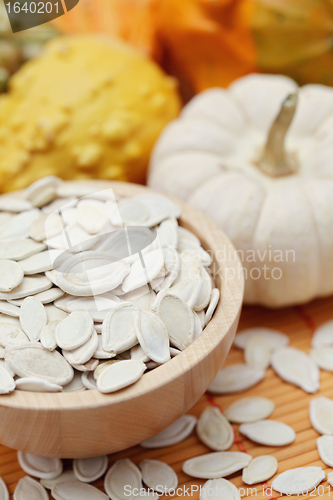 Image of seeds of pumpkin