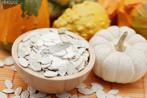 Image of seeds of pumpkin