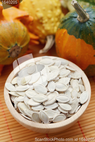 Image of seeds of pumpkin