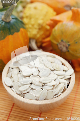 Image of seeds of pumpkin