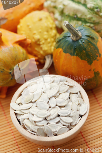 Image of seeds of pumpkin