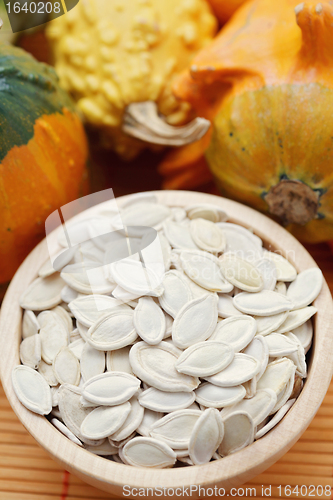 Image of seeds of pumpkin