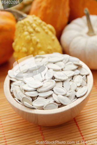 Image of seeds of pumpkin