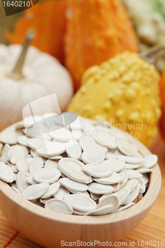 Image of seeds of pumpkin