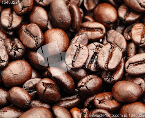 Image of coffee bean closeup