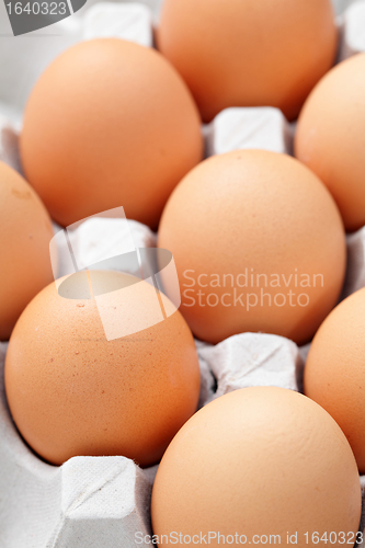 Image of brown eggs in box