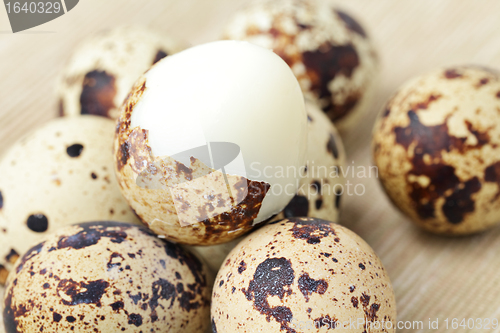 Image of quail eggs