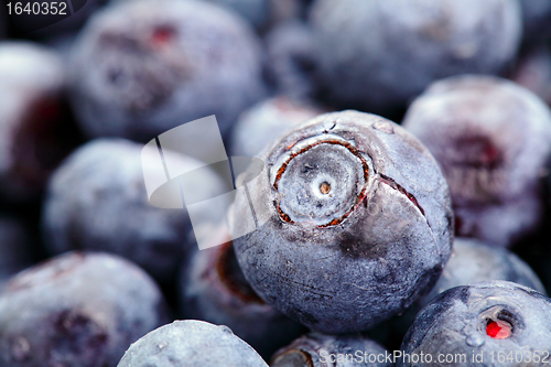 Image of blueberry