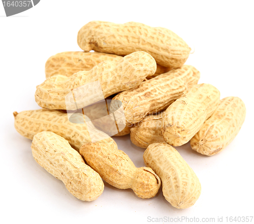 Image of peanut