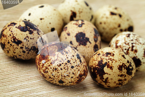 Image of Group of quail eggs