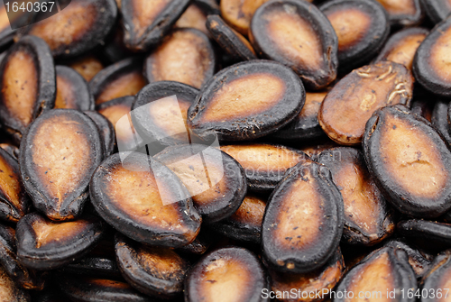 Image of black melon seed