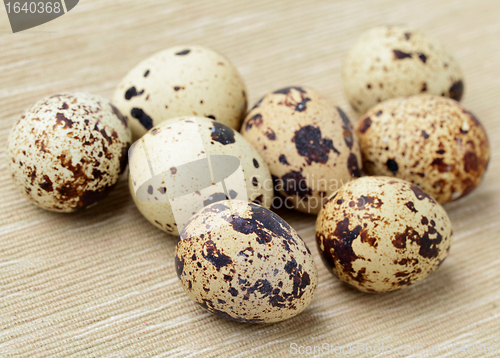 Image of quail eggs