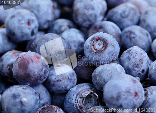 Image of blueberry