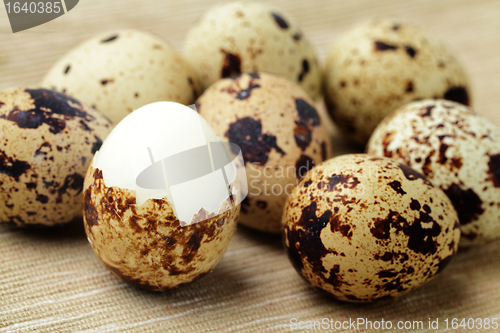 Image of quail eggs