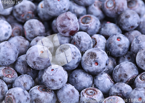 Image of blueberry