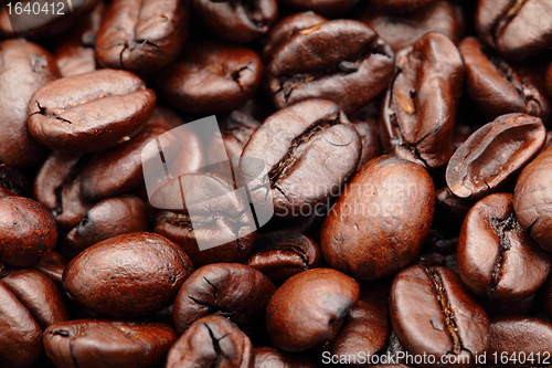 Image of coffee bean closeup