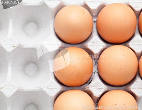 Image of eggs in box