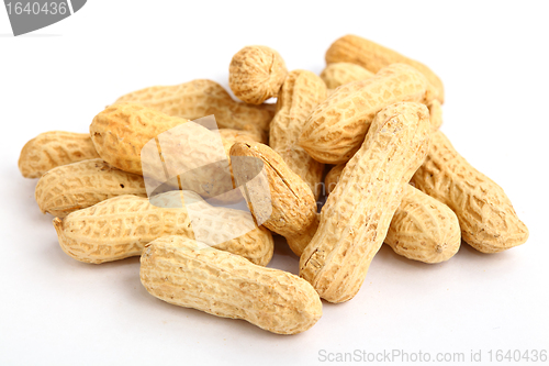 Image of peanut