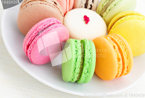 Image of colorful macaroon