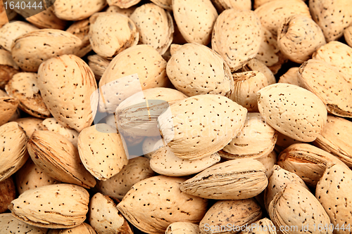 Image of almond