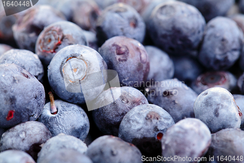 Image of blueberry