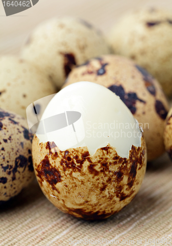 Image of quail eggs