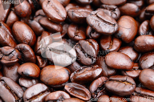 Image of coffee bean close up