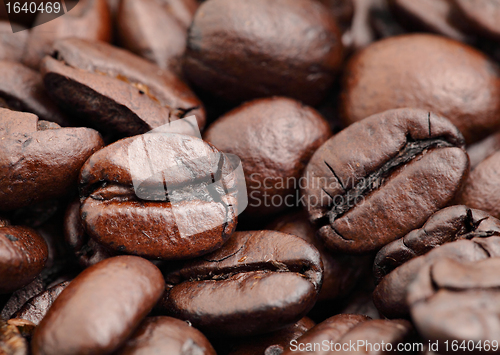 Image of Coffee beans closeup