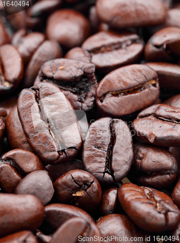 Image of coffee bean