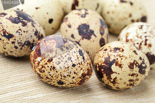 Image of quail eggs