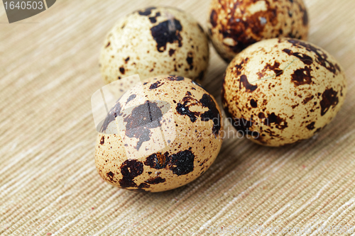 Image of quail egg