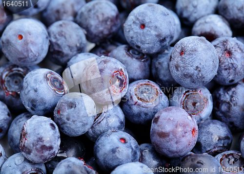 Image of blueberry