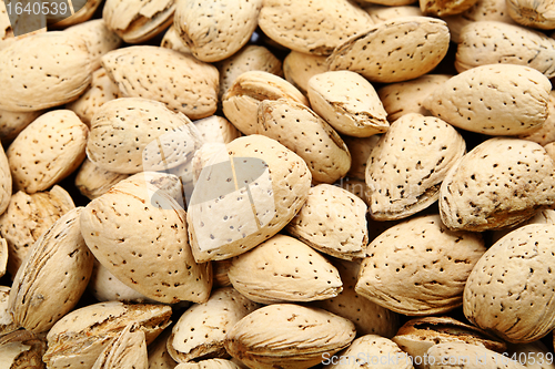 Image of almond