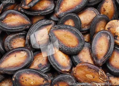 Image of black melon seed