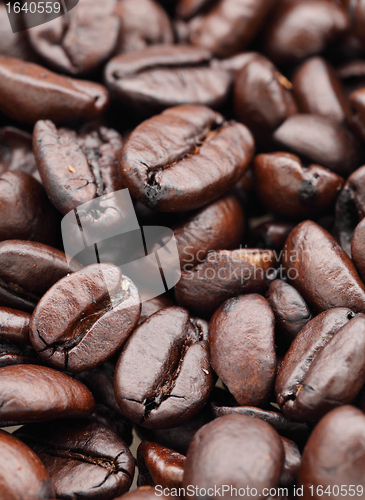 Image of coffee beans closeup