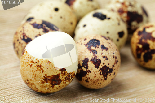 Image of quail egg