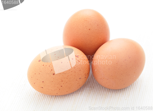 Image of fresh eggs